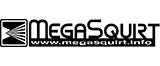 MegaSquirt ECU & Engine Management