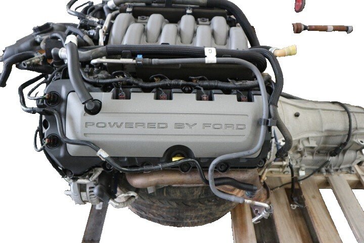 5.0 Coyote